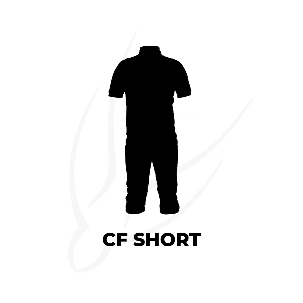 FreeFly CF