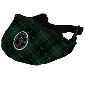 Green Small Bum Bag